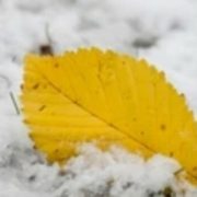 Перший сніг вже незабаром накриє Україну: Сильним морозам таки бути