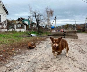 Війна в Україні: Астролог нaсторожuла прогнозом на найближчі дні