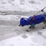 Багато снігу і морози до мінус 20°: прогноз погоди в Україні на найближчі два місяці
