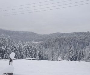 Українські Карпати засипало снігом, в горах тримається мороз (фото)