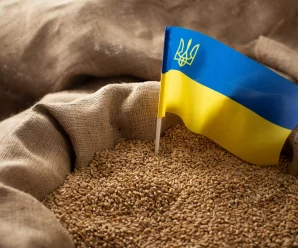 Збитки на мільйони: Аграрій з Городенківщини каже, що без світла пропадає зерно