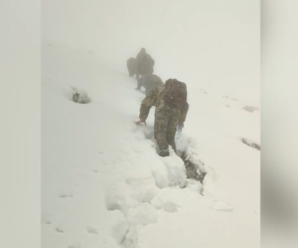 На Закарпатті в горах знайшли мeртвuми двох ухилянтів, які тікали до Румунії: відео