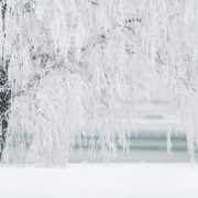 Завалить снігом, вріжуть морози: Українцям назвали терміни справжньої зими