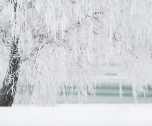 Завалить снігом, вріжуть морози: Українцям назвали терміни справжньої зими