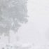 “Страшний снігопад суне в ці області України, синоптики сказали про мороз і полярні процеси”: експерти про сніг і холод