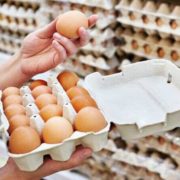 В Україні з 1 лютого будуть по-новому продавати курячі яйця: Їх поділять на два класи