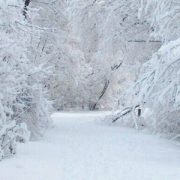 “Лютий мороз накриє ці області України прямо завтра, синоптики кажуть про жахний снігопад”: Експерти про холод