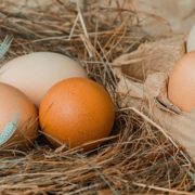 В Україні зміниться ціна на яйця: Коли і якою буде вартість