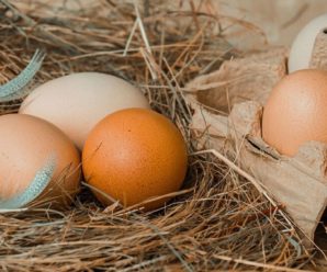 В Україні зміниться ціна на яйця: Коли і якою буде вартість