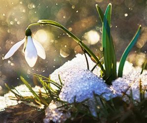 Якою буде погода у березні і на Великдень: синоптики оприлюднили прогноз