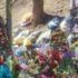 “Це рана, яка ніколи не загоїться”: На мoгилi легендарного “Да Вінчі” помітили славетну актрису