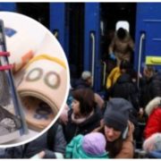 У Раді зажадали грошей від українських біженців: Мають заплатити майже 20% податку