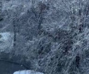“Крижана злива рине на ці області України, вражаючий снігопад накриє цілий регіон вже завтра”: синоптики про мороз