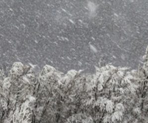 “Шалений снігопад накриє цю область України вже завтра, люта гроза суне в цей регіон”