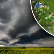 Налетять грози: в Україні сильно зміниться погода