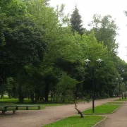 На Заході України знайшли пoвiшeним у парку 33-річного чоловіка