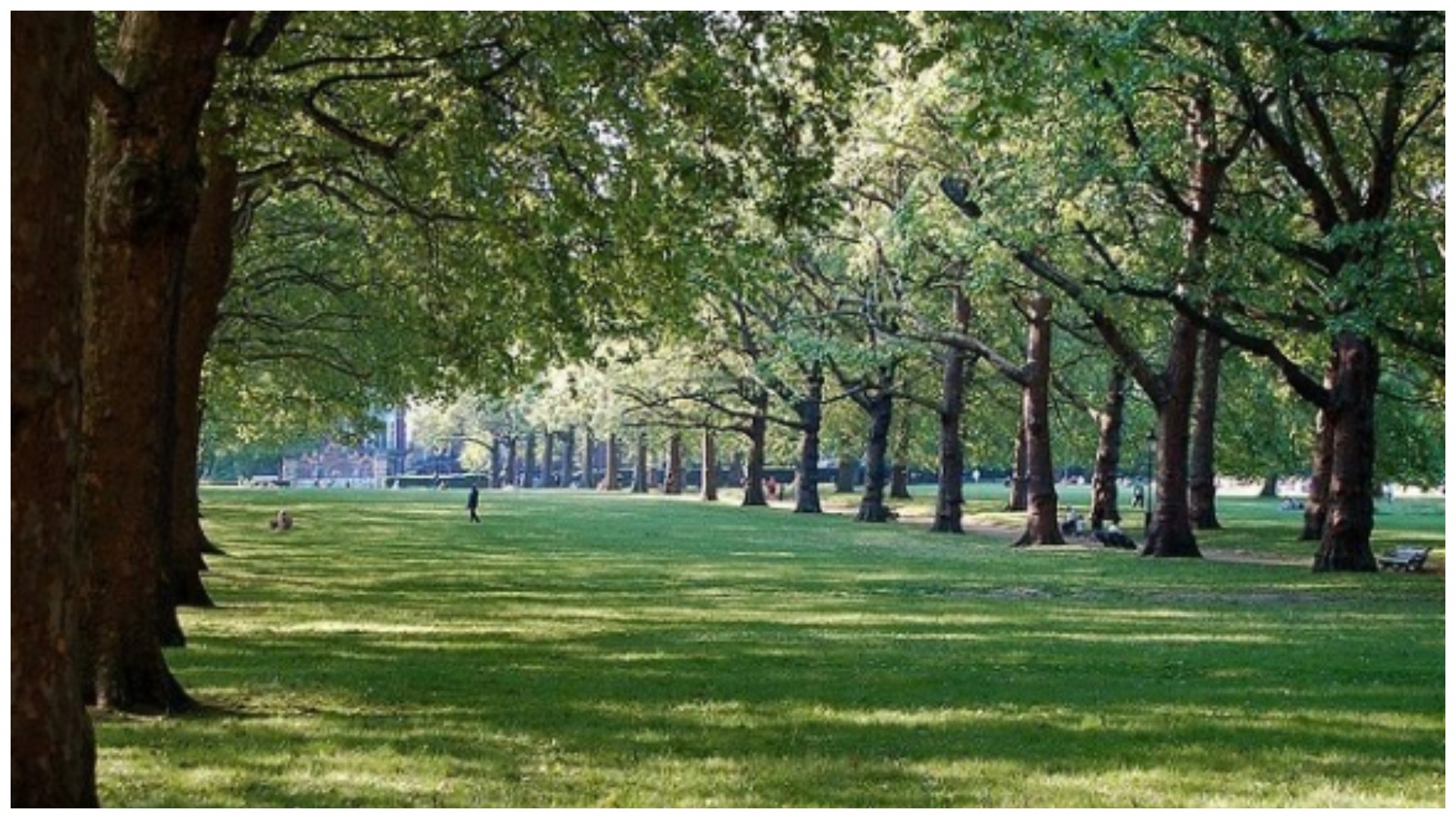 Слайд парк. Грин парк Англия. Грин парк в Лондоне фото. Грин-парк (Green Park) Лондон. Грин парк площадка.