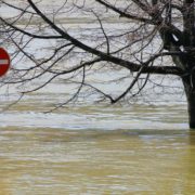 Мольфар Макс Гордєєв передбачив масштабні потопи в Україні