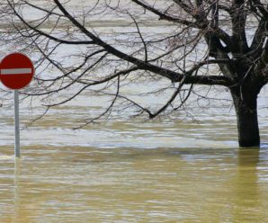 Мольфар Макс Гордєєв передбачив масштабні потопи в Україні
