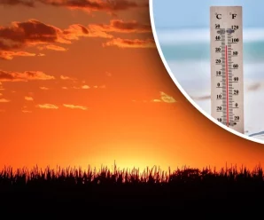 Україну атакує спека з Сахари: синоптики попередила про рекордну температуру