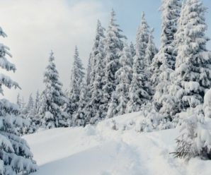 Перші прогнози синоптиків на зиму: Яку погоду чекати взимку 2023-2024
