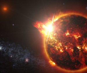 На Сонці невпинно ростуть плями: Про що попереджають вчені