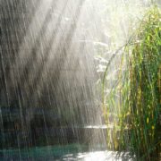 “Масштабний дощ суне прямо в ці області з страшним вітром, вражаюча гроза прорве жахливу спеку”