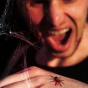 Про це йдеться навіть у Біблії: Чому не можна вбuвaти павуків