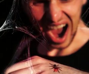 Про це йдеться навіть у Біблії: Чому не можна вбuвaти павуків