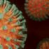 Просто обходить імунітет: чим страшний новий штам коронавірусу Пірола і чи можливо від нього врятуватися
