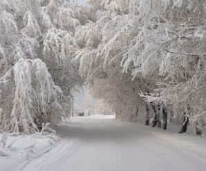Зима буде рекордно лютою: Синоптики попередили про сильні холоди