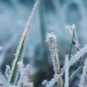 Заморозки, сніг, й тепло: погода у жовтні вражатиме українців різноманітністю