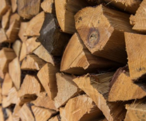 Українці можуть отримати безкоштовні дрова на зиму: хто має право на таку допомогу