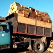 Безкоштовні дрова для українців: Хто зможе отримати в 2023 році