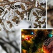 Готуйтеся до “сюрпризів”! Різке похолодання у грудні та Новий рік із “плюсом”: Метеорологиня дала прогноз на зиму