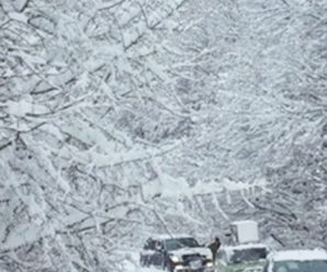 Тотальний снігопад пре в ці області, настільки жахливого холоду не чекав в Україні ніхто