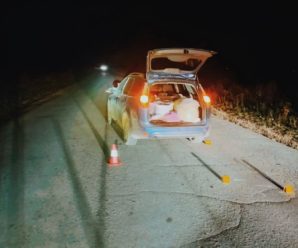 У двох ДТП на Прикарпатті загинули двоє пішоходів – поліція проводить розслідування. ФОТО