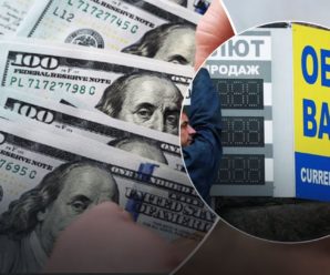 “Масштабний обвал в обмінниках України, долар шалено летить до межі”: експерти про те, чи є загроза для грошей українців
