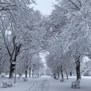 Налетить шторм і випаде сніг: в Україну вривається зимова погода