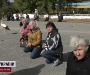 Прилетів на похорон захисника України: Містична історія лелеки отримала продовження