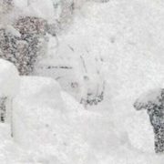 “В Україні по-справжньому жахлива погода зіпсує вихідні, хлине нестримний снігопад з дощем”: суне мороз у -17 градусів