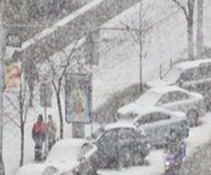 В ці області несамовитий мороз повернеться, снігопад накриє конкретний регіон: фахівці про дощ і холод в Україні