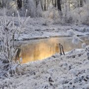 Україну накриє сніг та дощ: де вдарить температура повітря до -9 градусів