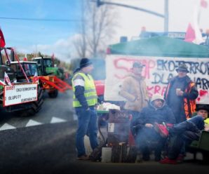 Ми в руїні: в Польщі підприємці вимагають у фермерів негайно припинити блокаду кордону з Україною