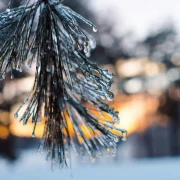 Заморозки -3 і грози: синоптик попередив про сильний холод і назвав дату потепління