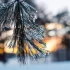 Заморозки -3 і грози: синоптик попередив про сильний холод і назвав дату потепління