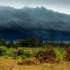 Дощів з грозами стане більше: синоптик попередила про небезпечну погоду