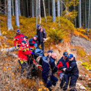 В лісі на Прикарпатті виявити тіло чоловіка, який напередодні пішов по гриби