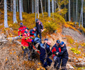 В лісі на Прикарпатті виявити тіло чоловіка, який напередодні пішов по гриби