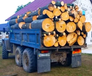 В’язниця за дрова все ж таки буде: нардеп розповіла скільки заборонено зберігати вдома